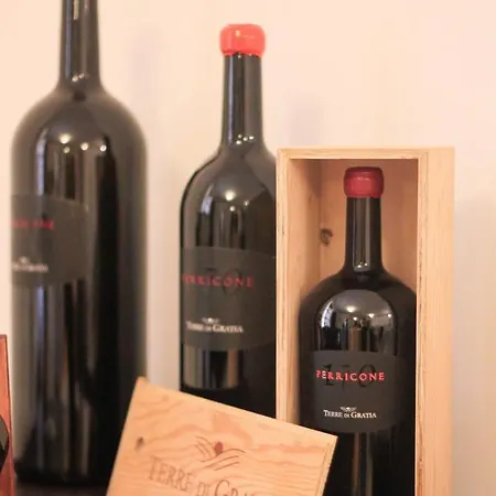 Terre Di Gratia 3* Camporeale